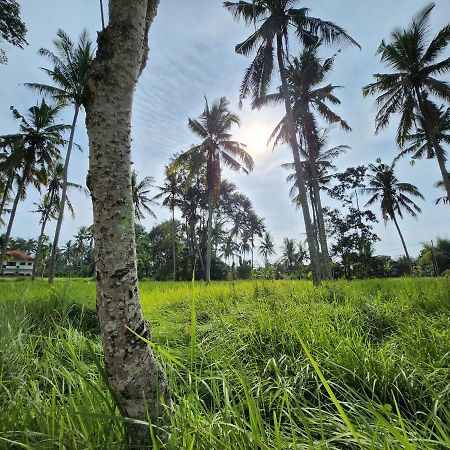 Casa Idea Ubud Kültér fotó