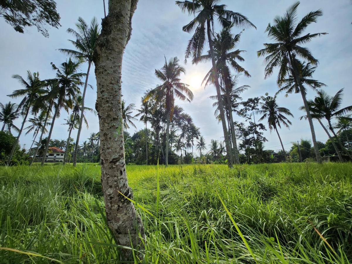 Casa Idea Ubud Kültér fotó